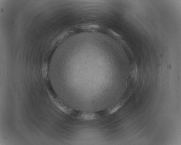 X0000081280767200702012218