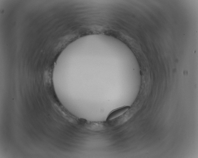 X0000081280768200702012218