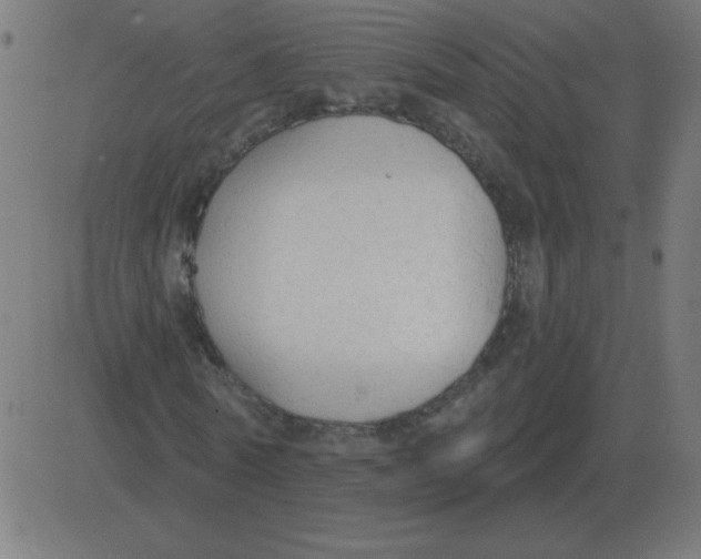 X0000081280770200702012218