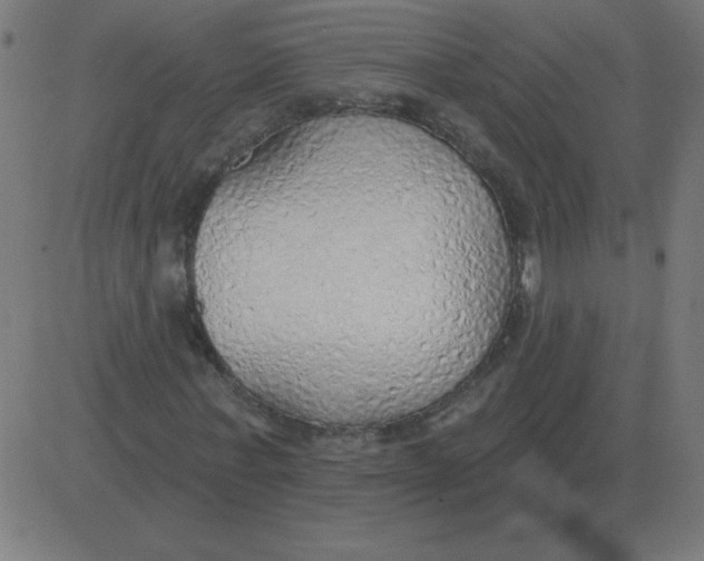 X0000081280771200702012218