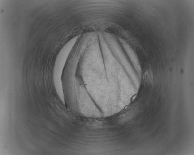 X0000081280772200702012218