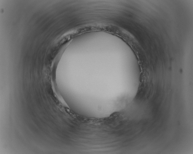 X0000081280773200702012218