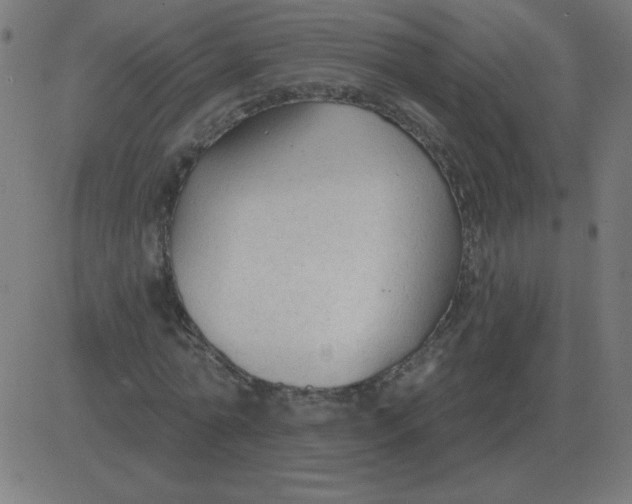 X0000081280774200702012218