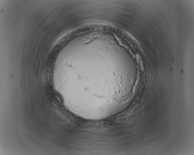 X0000081280775200702012218