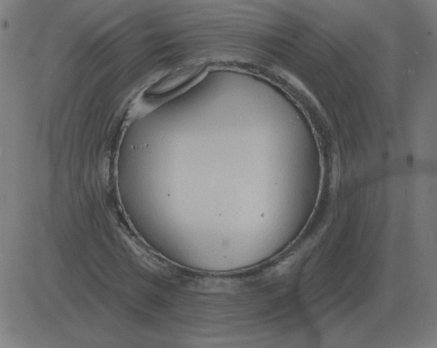 X0000081280777200702012218