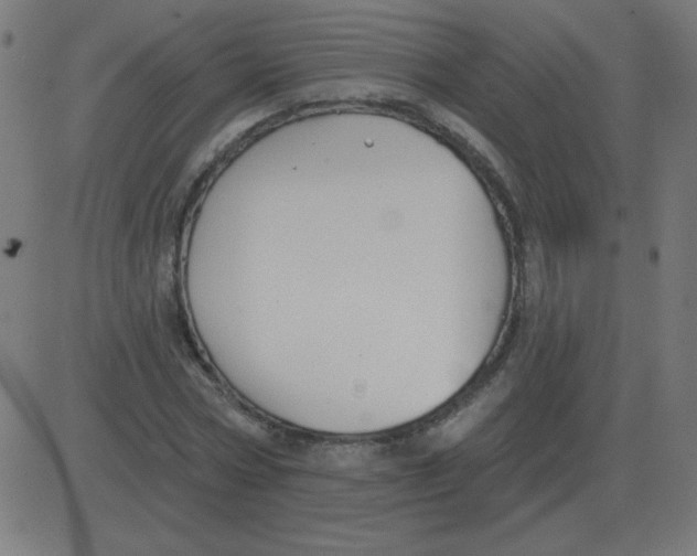 X0000081280778200702012218