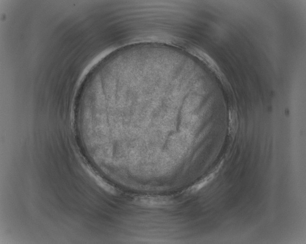 X0000081280780200702012217