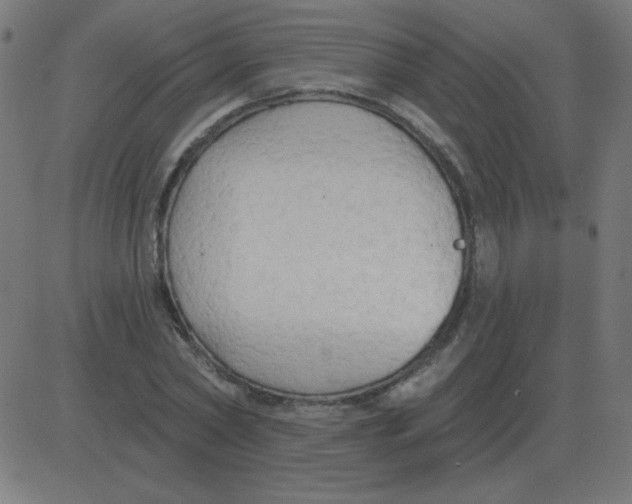 X0000081280782200702012217