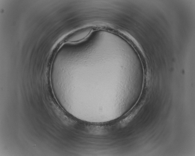 X0000081280783200702012217