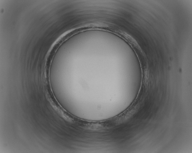 X0000081280784200702012217