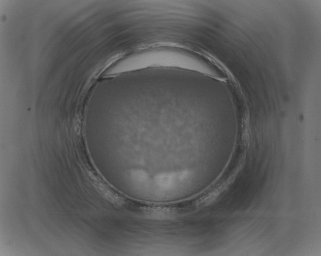 X0000081280785200702012217