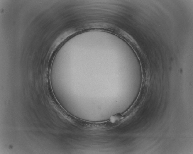 X0000081280786200702012217