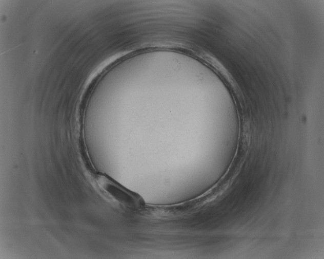 X0000081280787200702012217