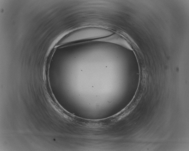 X0000081280788200702012217