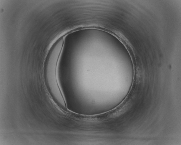 X0000081280789200702012217