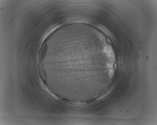 X0000081280790200702012217