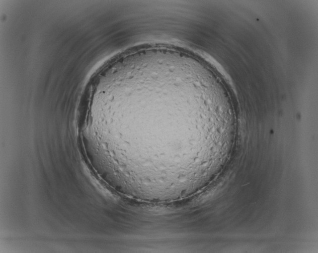 X0000081280791200702012217