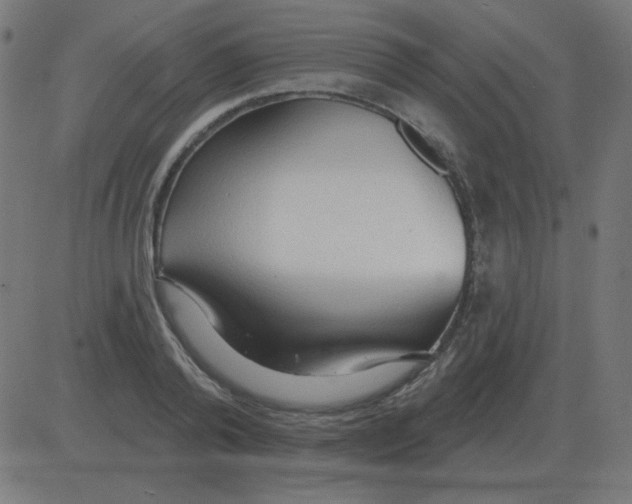 X0000081280792200702012217