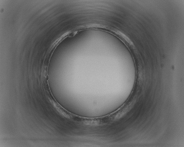 X0000081280793200702012217