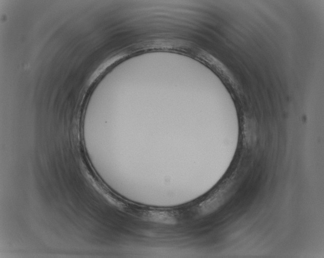 X0000081280794200702012217