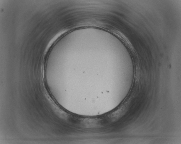 X0000081280796200702012217