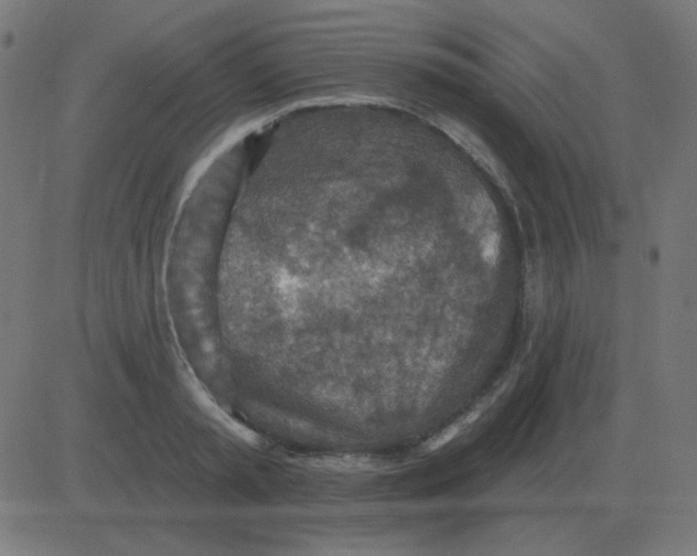 X0000081280797200702012217