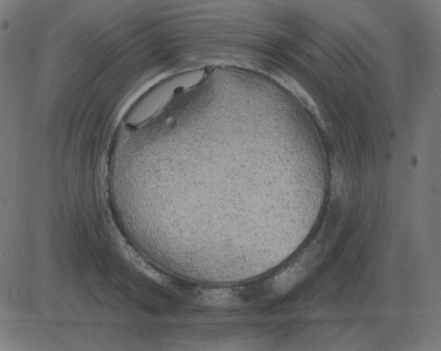 X0000081280798200702012217