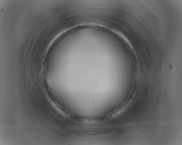 X0000081280799200702012217