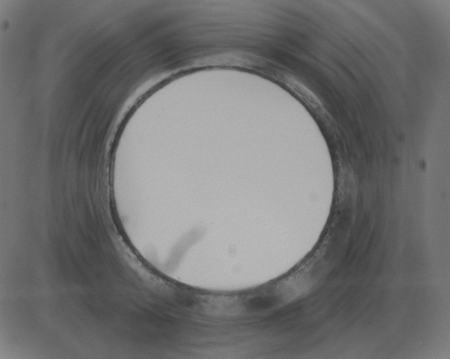 X0000081280800200702012217