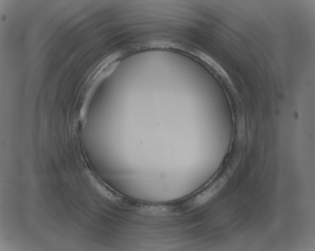 X0000081280801200702012217