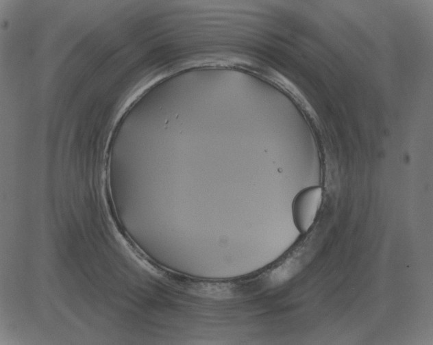 X0000081280802200702012217