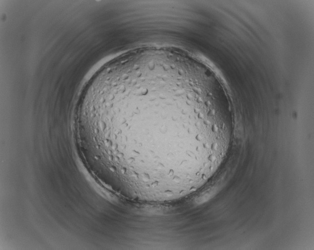 X0000081280803200702012217