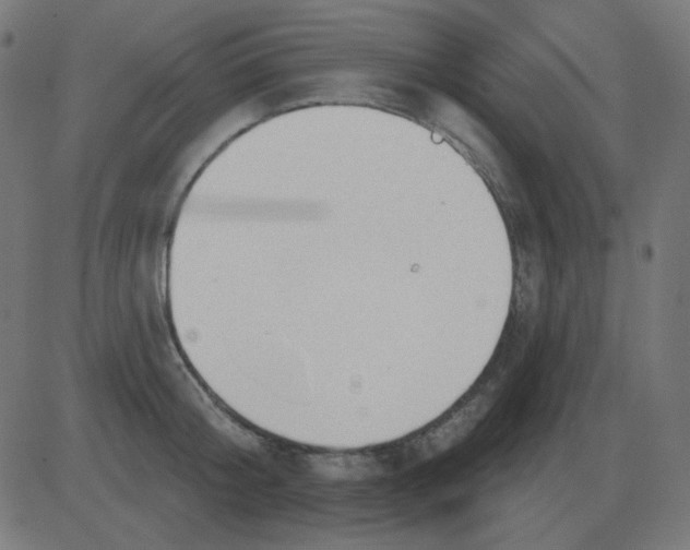 X0000081280804200702012217