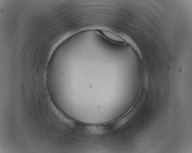 X0000081280805200702012217