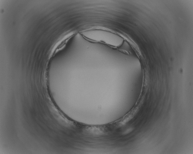 X0000081280806200702012217