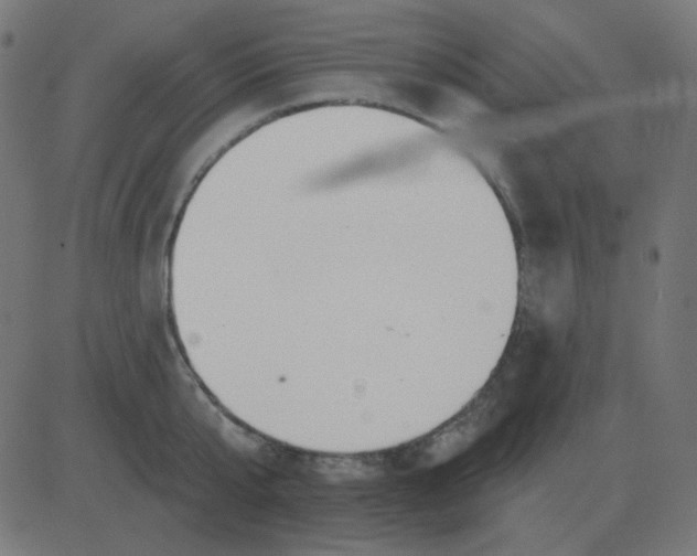 X0000081280807200702012217