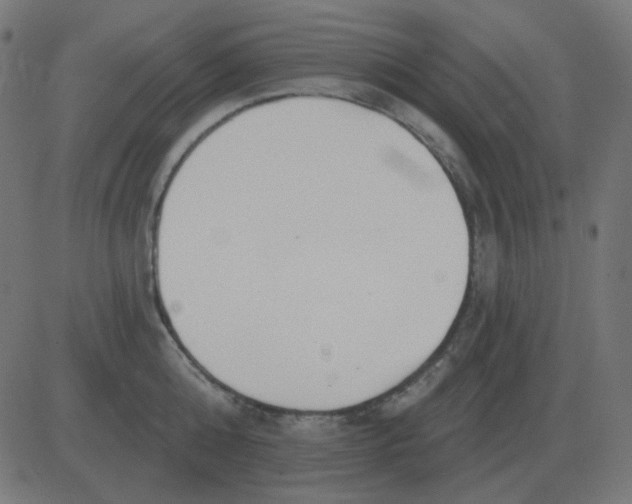 X0000081280808200702012217