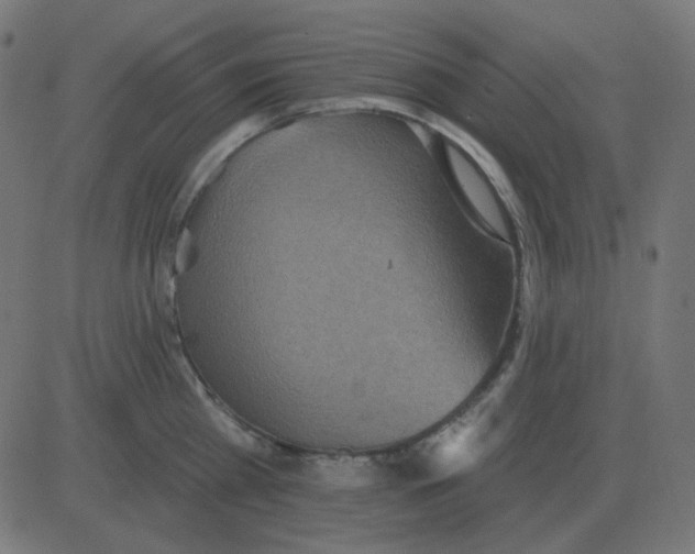 X0000081280809200702012217