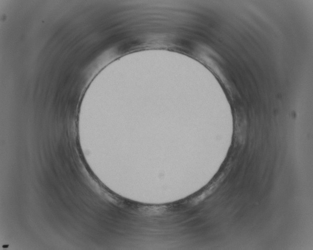 X0000081280810200702012217