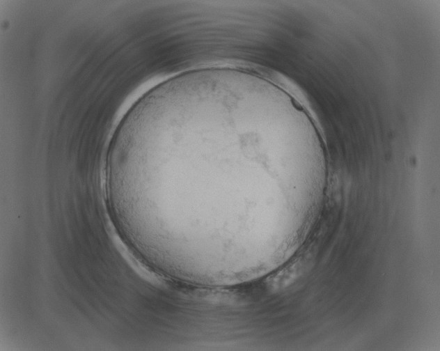 X0000081280811200702012217