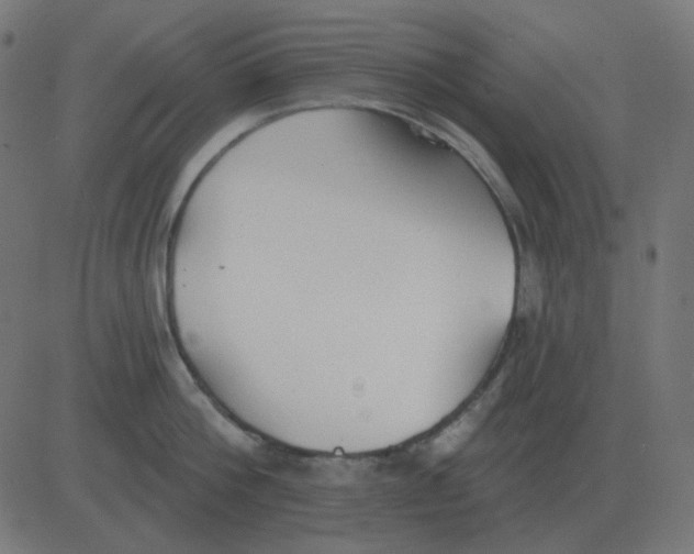 X0000081280812200702012217