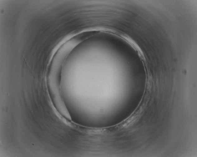 X0000081280813200702012217