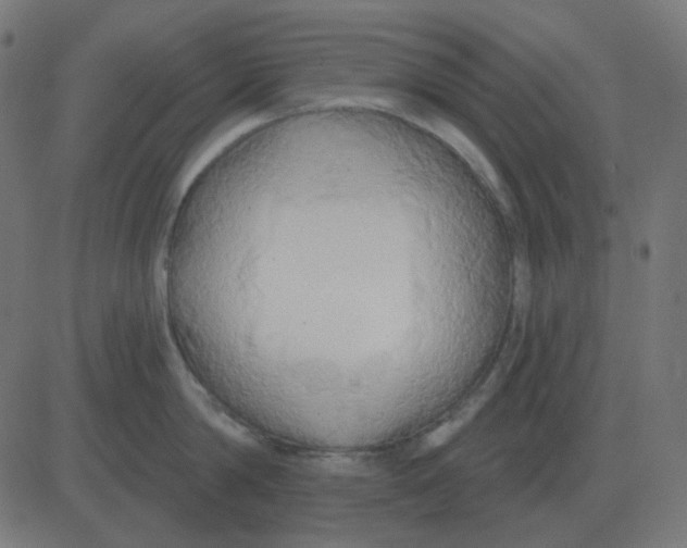 X0000081280814200702012217