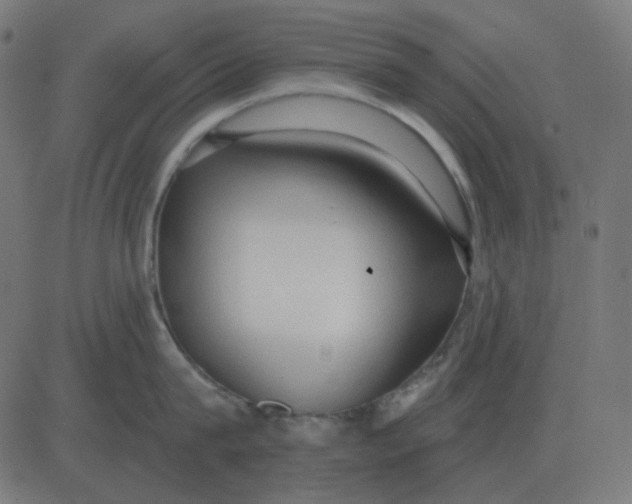 X0000081280815200702012217