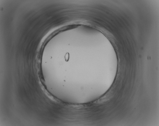 X0000081280816200702012217