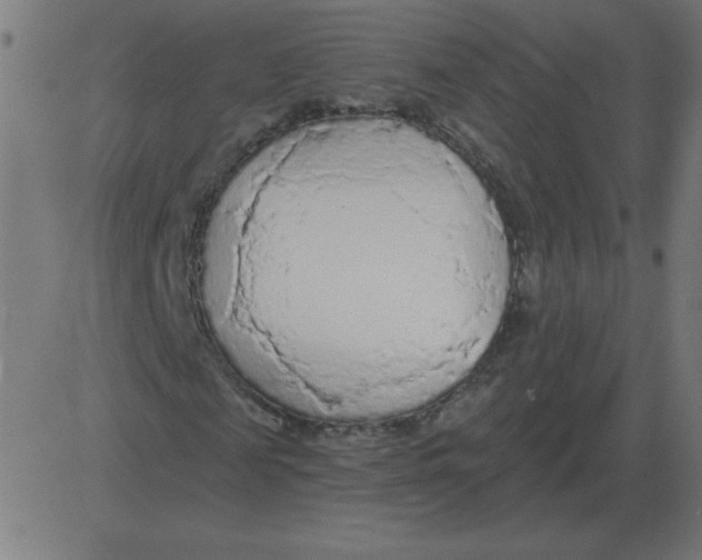 X0000081280817200702012216