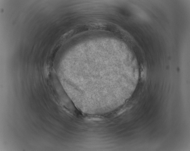 X0000081280819200702012216