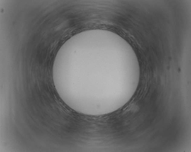 X0000081280820200702012216