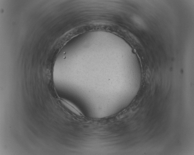 X0000081280821200702012216