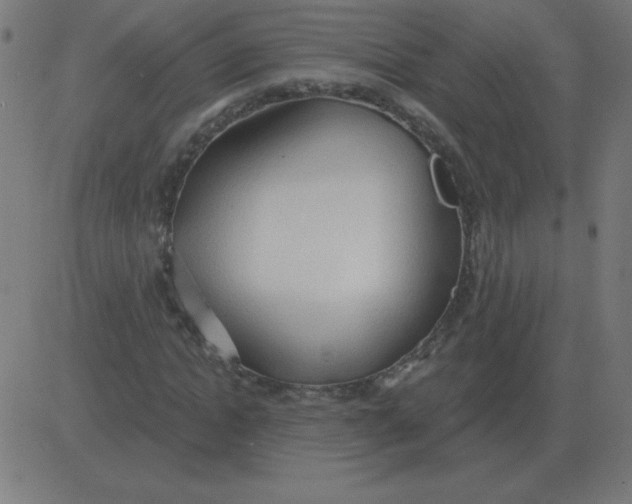 X0000081280822200702012216